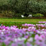 Relais Du Bois Saint Georges - De Charme Hotel 4*