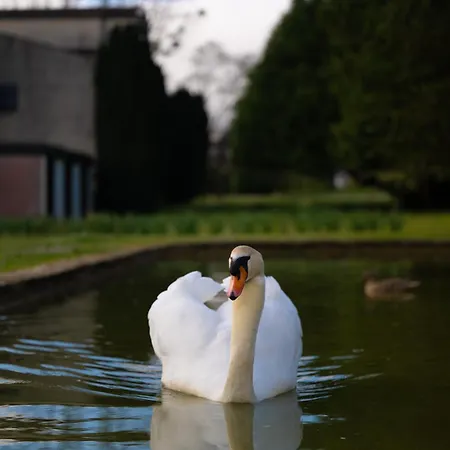 Relais Du Bois Saint Georges - De Charme Saintes
