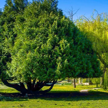 Relais Du Bois Saint Georges - De Charme 4*