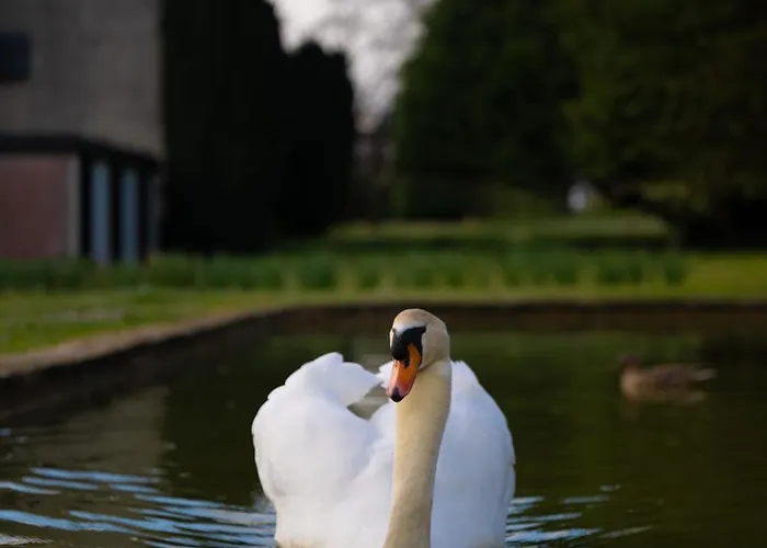 Relais Du Bois Saint Georges - De Charme Saintes