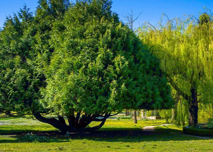 Relais Du Bois Saint Georges - De Charme 4*